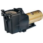 Hayward Super Pump